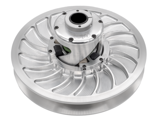 Secondary Clutch STM / ProR