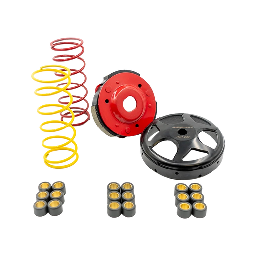 Tunable Clutch Roller Kit // Polaris RZR 200- SKU: 07-304