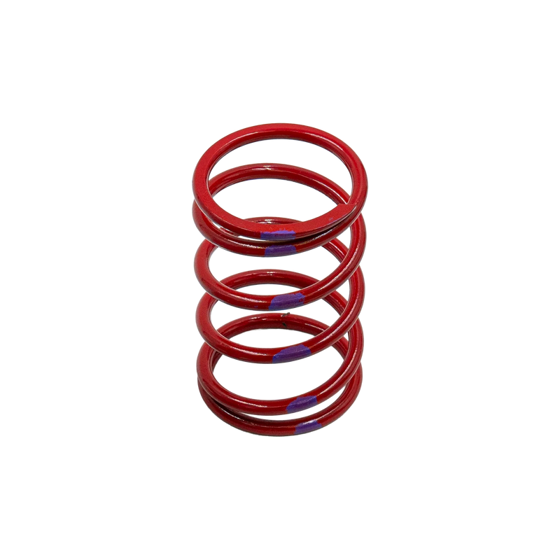 Primary Spring - 65-143 // SKU TP-810005