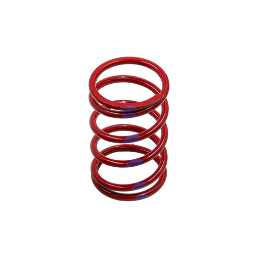 Primary Spring - 65-143 // SKU TP-810005