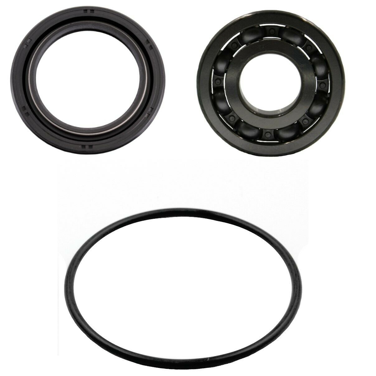 Suzuki Eiger Parts